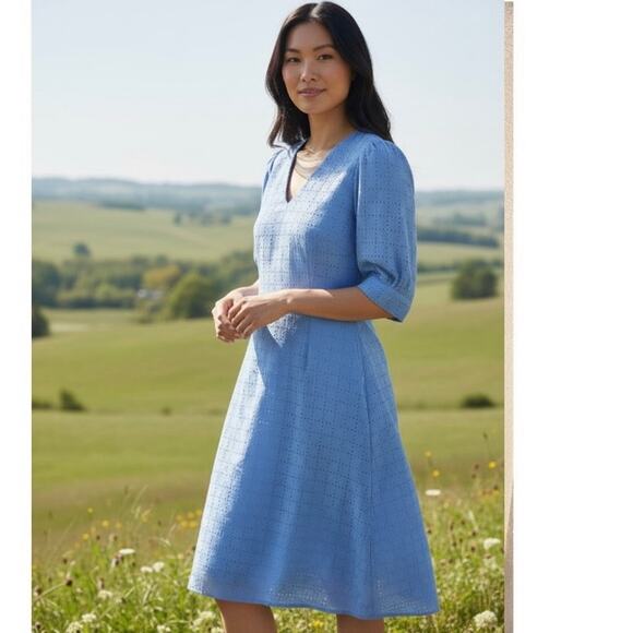 Neiman Marcus Blue Eyelet A-Line Dress Size 10 Lined V-Neck Classic Chic 💙 - Picture 1 of 8